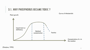 phosphorus-video5.mp4