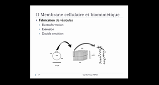 Membrane