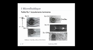 microfluidique1.mp4