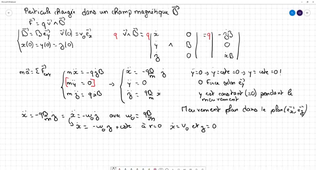 PHYS11 Champ magnetique particule